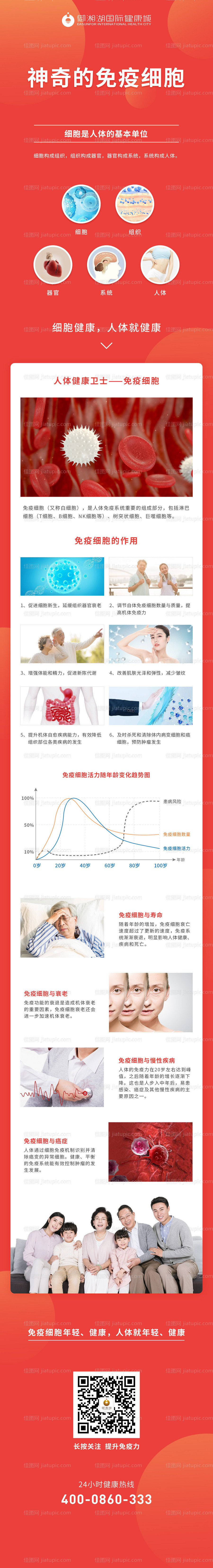 医学研究免疫细胞科普长图-源文件